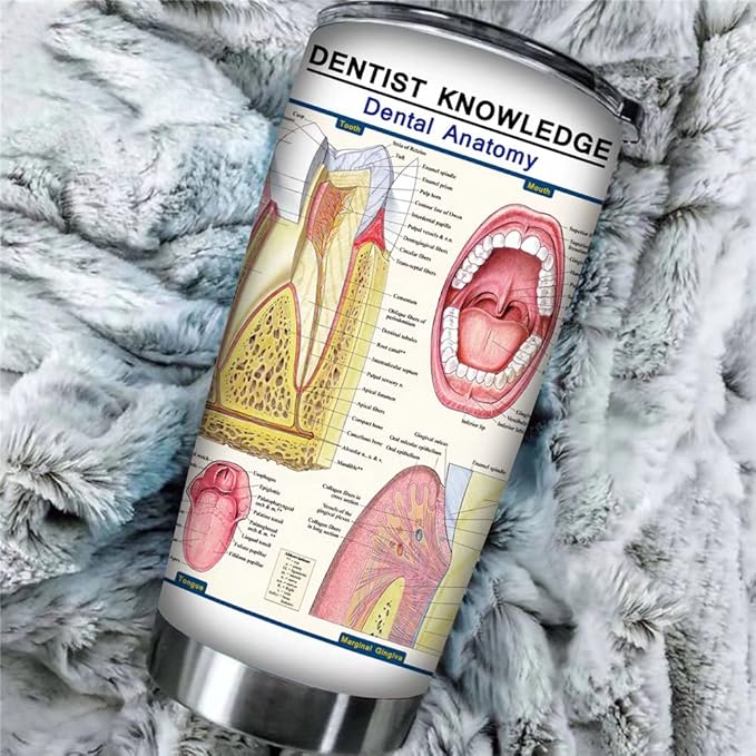 Dental Anatomy Tumbler Mug Dentist Knowledge Travel Mug, 20oz Stainless Steel Tooth Anatomy Coffee Mug Medical Teeth Tumbler 1 Doctor Nurse School Vacuum Insulated Travel Tumbler with Straw Lids