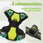 rabbitgoo Dog Harness No Pull with 2 Leash Clips, Adjustable Soft Padded, Reflective Oxford No Choke Pet Vest with Easy Control Handle for Puppy, Green, XS