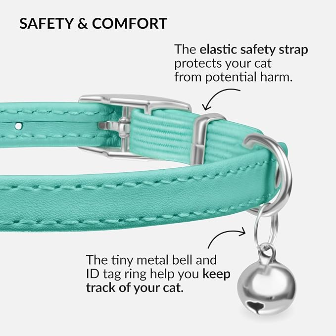 CollarDirect Leather Cat Collar with Bell - Kitten Collar, Small and Big Cat Collar for Boy Cats, Girl Cats with Safety Elastic Strap (Neck Fit 8"-11", Mint Green)