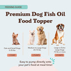 Natural Dog Company Skin & Coat Oil (16 oz.), Supports Skin Health, Fish Oil Supplements for Dogs, Soft Coat, Fish Oil & Flaxseed Oil, Fatty Acids, Bottle of Dog Fish Oil with Pump, Antioxidant