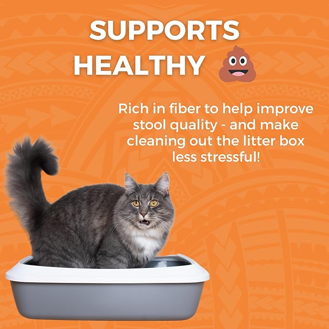 KOHA Pet Limited Ingredient Bland Diet for Cats, Chicken and White Rice Recipe Sensitive Stomach Wet Cat Food, Gentle Formula Easy to Digest Bland Diet Cat Food, 2.8 oz Pack of 12