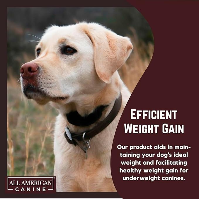 Bulk Dog Weight Gainer – High Calorie Dog Food Supplement & Protein Powder for Rapid Weight Gain, Mass, and Recovery – Appetite Stimulant – 230 Servings