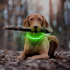 Flashseen Light Up Dog Collars, Adjustable LED Dog Collar Rechargeable, Glow in The Dark Dog Collars Super Bright Glow Collars for Night Walking for Dogs (Green, Medium)