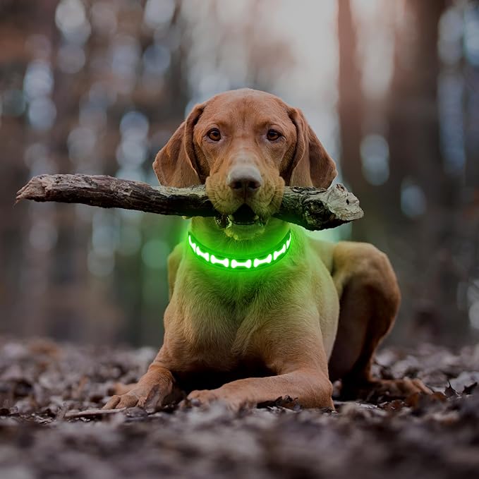 Flashseen Light Up Dog Collars, Adjustable LED Dog Collar Rechargeable, Glow in The Dark Dog Collars Super Bright Glow Collars for Night Walking for Dogs (Green, Medium)