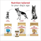 Royal Canin German Shepherd Puppy Breed Specific Dry Dog Food, 30 lb. bag