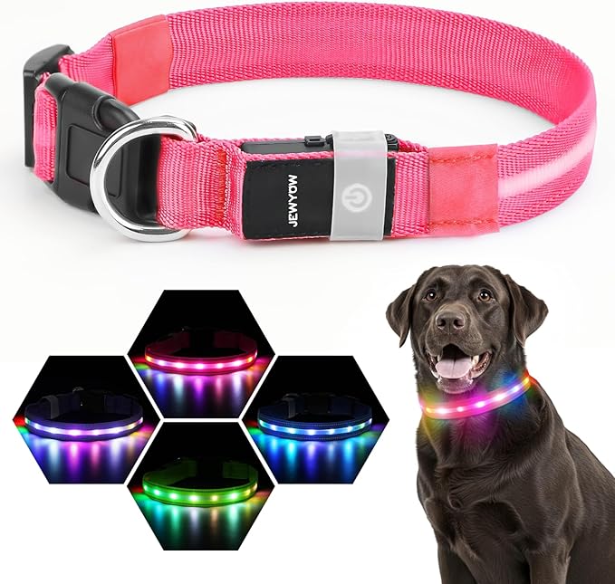 LED Dog Collar, Light Up Dog Collar, USB Rechargeable - Brightest Dog Lights for Night Walking, 6 Light Modes, Adjustable for Dog Safety(Medium, Candy Pink)