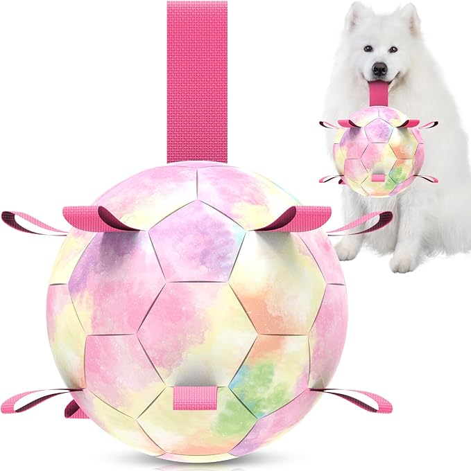 QDAN Extra Large Dog Toys Soccer Ball - Durable Dog Balls for Extra Large Dogs, Beach Pool Dog Water Toy, Interactive Dog Toys for Tug of War, Puppy Birthday Gifts, Rainbow (9 Inch)