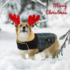 Queenmore Dog Winter Coat Warm Dog Jacket for Cold Weather, Quilting Puffer Plaid Coats for Small/Medium Dogs Waterproof,Girl/Boy Pet Christmas Coat,Pet Snowsuit with Leash Hole/Fleece Padding, M