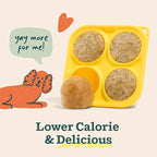 WOOF Dog Pupsicle Mix - Easy-to-Make DIY Pupsicle Refills - Tasty, Healthy Pupsicle Mix - Wholesome Ingredients - Long-Lasting Treats for Dogs - Bacon and Cheese Mix