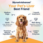 Liver Health Supplement for Medium Dogs - Milk Thistle for Dogs Liver Support with S-Adenosylmethionine (Same) & Silybin - 30 Tablets