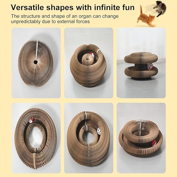3PC Kitty Curls Cat Toy,Magic Organ Cat Scratcher Board,Cat Scratcher for Grinding Claw Cardboard Cat Toys,Interactive Scratch Pad with Toy Ball