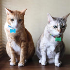 100 Pcs Blank Dog Tags for Engraving 38mm Pet ID Tags Aluminum Bone Shape Name Tag Colorful Double Stamping Dog Cat Phone Number Tag Collar Pendants with Hole