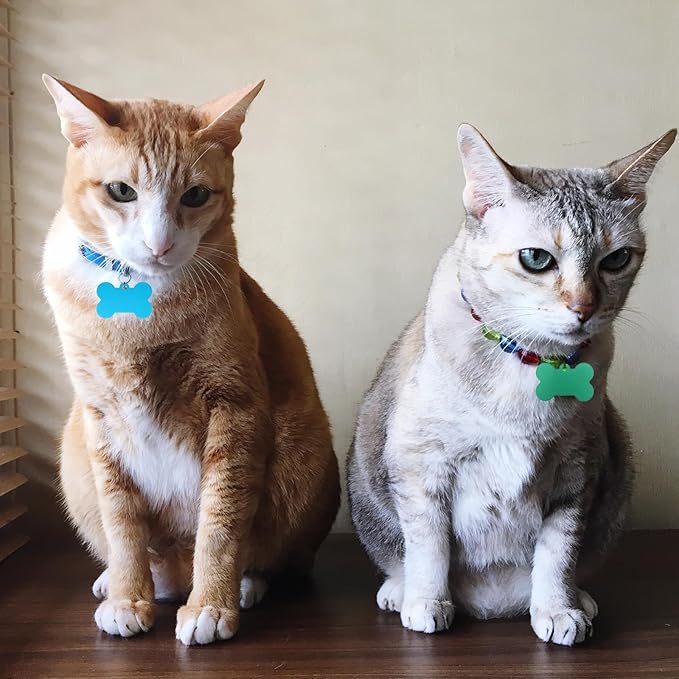 100 Pcs Blank Dog Tags for Engraving 38mm Pet ID Tags Aluminum Bone Shape Name Tag Colorful Double Stamping Dog Cat Phone Number Tag Collar Pendants with Hole