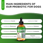 Probiotics for Dogs | Liquid Probiotics for Dogs and Puppies | Prebiotic & Digestive Enzymes | Gut Flora Support and Digestive Care | Bacon Taste | 2 Oz