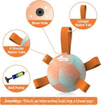 QDAN Small Dog Balls: Dog Soccer Ball with Straps- Premium Dog Toys Balls- Puppy Outdoor Dog Toys Pet Training Ball Birthday Gifts for Small Dogs- Rainbow Orange (5 Inch)