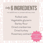 Polkadog Turkey & Cranberry Wonder Nuggets Dog Treats – All-Natural Pet Training Treats for Dogs – Healthy, Handmade Puppy Snacks – Bite-Sized, Soft, Chewy Treats for Pets – 10 oz