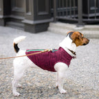 Gooby Zip Up Fleece Dog Sweater - Fuchsia Wash, Small - Warm Pullover Fleece Step-in Dog Jacket with Dual D Ring Leash for Small to Medium Dogs