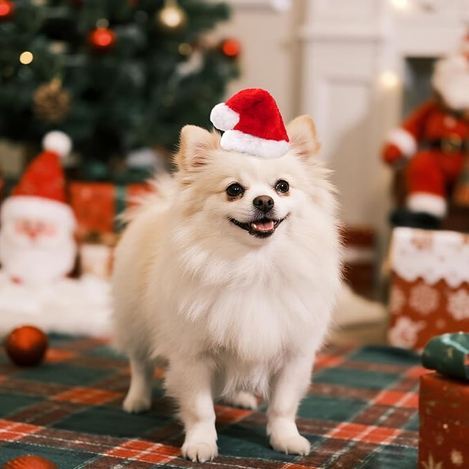 Nydotd 8 Pieces Dog Santa Hat PET Christmas Hat Small Santa Cat Hats Soft Plush Christmas Costumes Supplies for Tiny Dog Cat Puppy Kitten Crafts