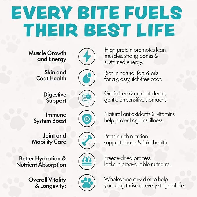 Freeze Dried Meal Toppers for Small & Large Breeds Dogs, 16 Oz Bag, Beef Dog Food Toppers for Picky Eaters, Made in USA - Grain Free & All Natural Freeze Dried Dog Treats