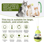 Cat Toy for Indoor Cats Wobble Kitten Treat Dispensing Ball Food Dispenser Puzzle Slow Feeder Balls Kitty Stimulating Indoor Interactive Brain Game Thanksgiving Toys Gift
