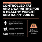 Go! Solutions Weight Management + Joint Care, Grain-Free Dry Cat Food, Salmon Recipe, 3 lb Bag