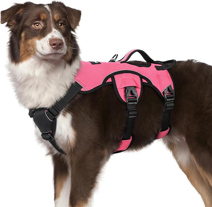 rabbitgoo Escape Proof Dog Harness, Soft Padded Full Body Pet Harness, Reflective Adjustable No Pull Vest with Lift Handle and Leash Clip for Large Dogs Walking Hiking Training, M, Pink