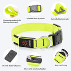 Led Dog Collar - Adjustable, Rechargeable, Waterproof, Glows in Dark for Medium Large Dogs
