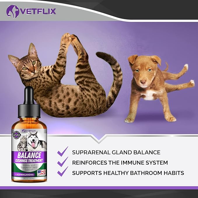 Balance Pet Adrenal Support for Dogs & Cats - Made in USA - Cushing's & Kidney Support Supplement - Natural Endocrine Health Formula - 2 Fl Oz