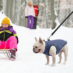 SCENEREAL Winter Dog Vest Coat with Harness Built In, Warm Puppy Jacket for Small Medium Dogs, Cold Weather Coat with Zipper, Fleece Puffer Vest Windproof Snow Clothes