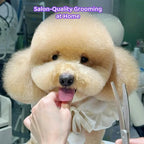 8-in-1 Dog Grooming Scissors Set with Stainless Steel Professional Ergonomic Grooming Scissors for Dogs at Home Perfect for Small and Large Dogs