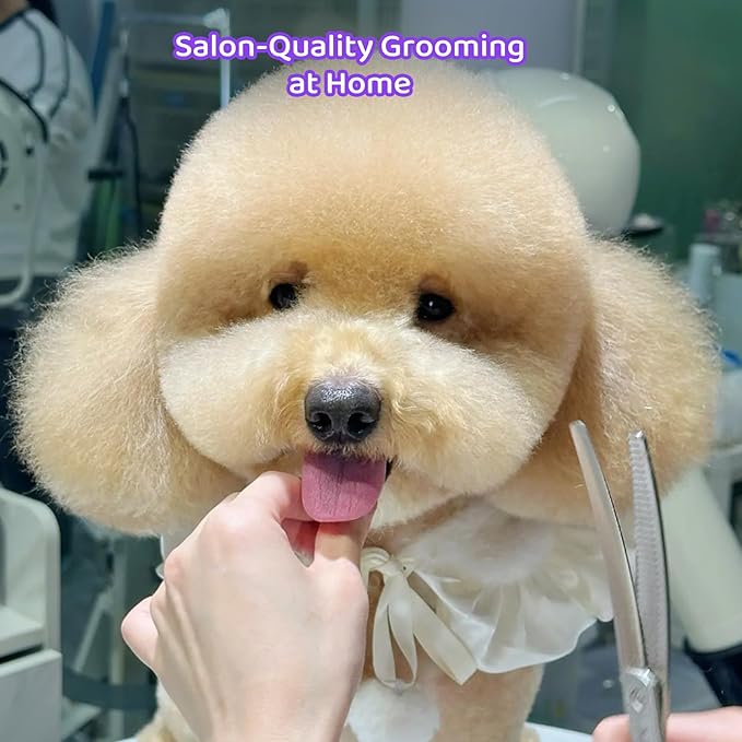 8-in-1 Dog Grooming Scissors Set with Stainless Steel Professional Ergonomic Grooming Scissors for Dogs at Home Perfect for Small and Large Dogs