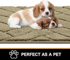 Tindbea Dog Mat for Muddy Paws,Absorbs Moisture Dirt Non-Slip Washable Mud Mat for Dogs,Soft Rubber Backing Front Inside Pet Rug for Entryway, Mud Dog Paws, Patio(20"x48",Light Taupe)