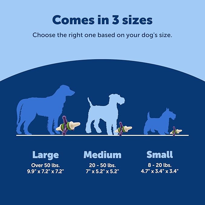 PetSafe Busy Buddy Jack - Keeps Dog Busy - Includes Treats Refill - Treat Holding Dog Toy - Helps Clean Teeth - Durable Rubber - Strong Chewers - Dishwasher Safe - Medium - Purple