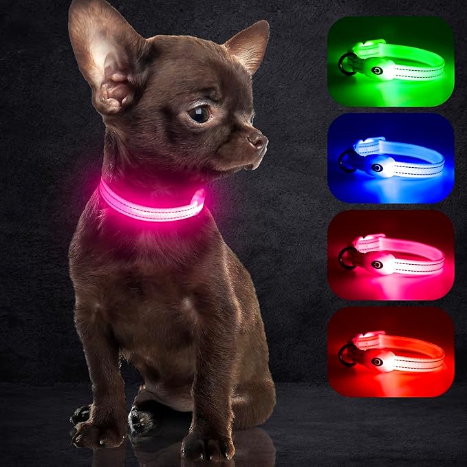 YFbrite Light up Dog Collars for Night Walking, Rechargeable LED Cat Collar, Comfortable Adjustable Lighted Dog Collar Rechargable for Cats, Small, Medium and Large Dogs (Pink, XS)