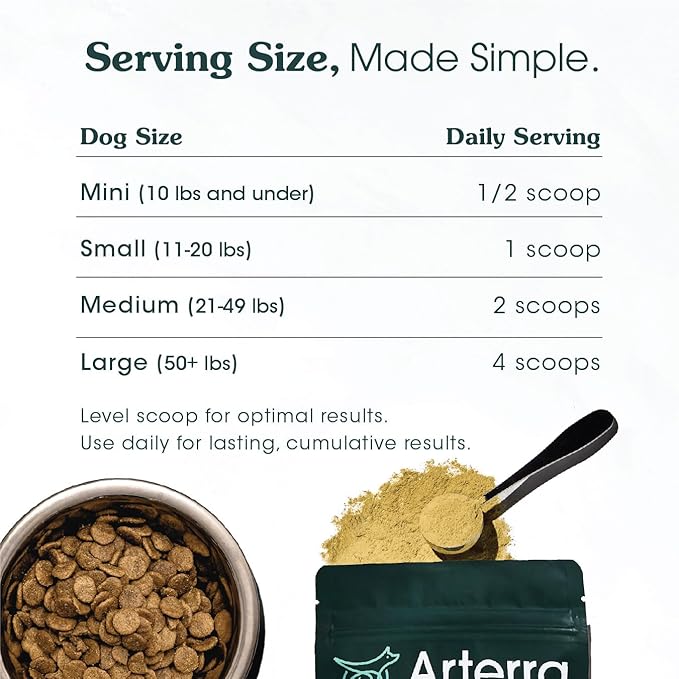 Adult Dog Powder Supplement & Food Topper – 46 Ingredients for Gut, Immune & Brain Health – Daily Longevity Multivitamin for Whole Body Wellness | 120 Scoops