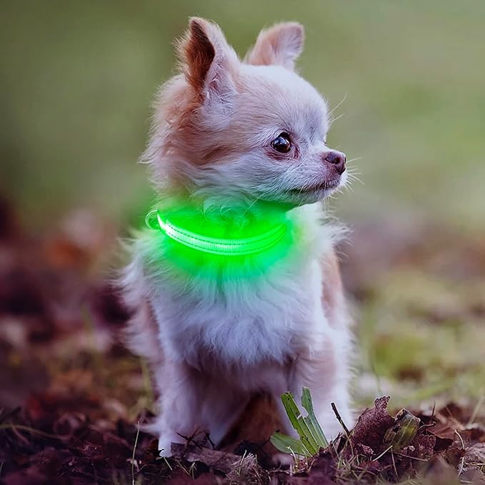 Light Up Collar for Small Dogs Cats - Reflective LED Dog Collar Glow in The Dark, Safety Pet Collar Lights for Nighttime Walking (Green)