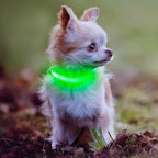 Light Up Collar for Small Dogs Cats - Reflective LED Dog Collar Glow in The Dark, Safety Pet Collar Lights for Nighttime Walking (Green)