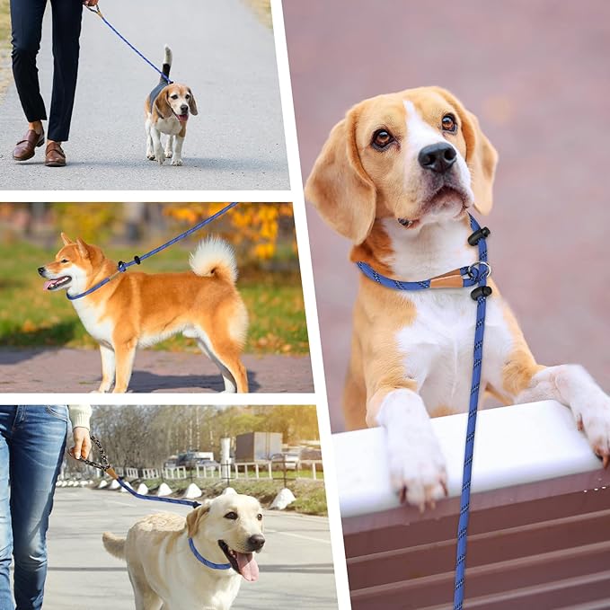 lynxking Slip Lead Dog Leash Reflective, Heavy Duty Comfortable Strong Rope for Large Medium Small Dogs No Pull Pet Training (Blue, 2PCS Large 1/2in x 6ft)