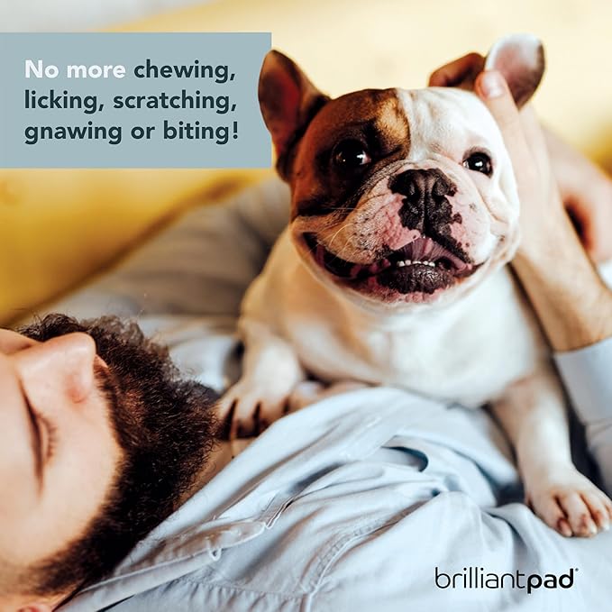 No No! Chew Deterrent Spray | Bitter Anti Chewing Pet Training Aid, Safe for Dog & Puppy, Protect Furniture | Stop Biting, Licking & Scratching | Repellent for Indoors & Outdoors Use | 4oz