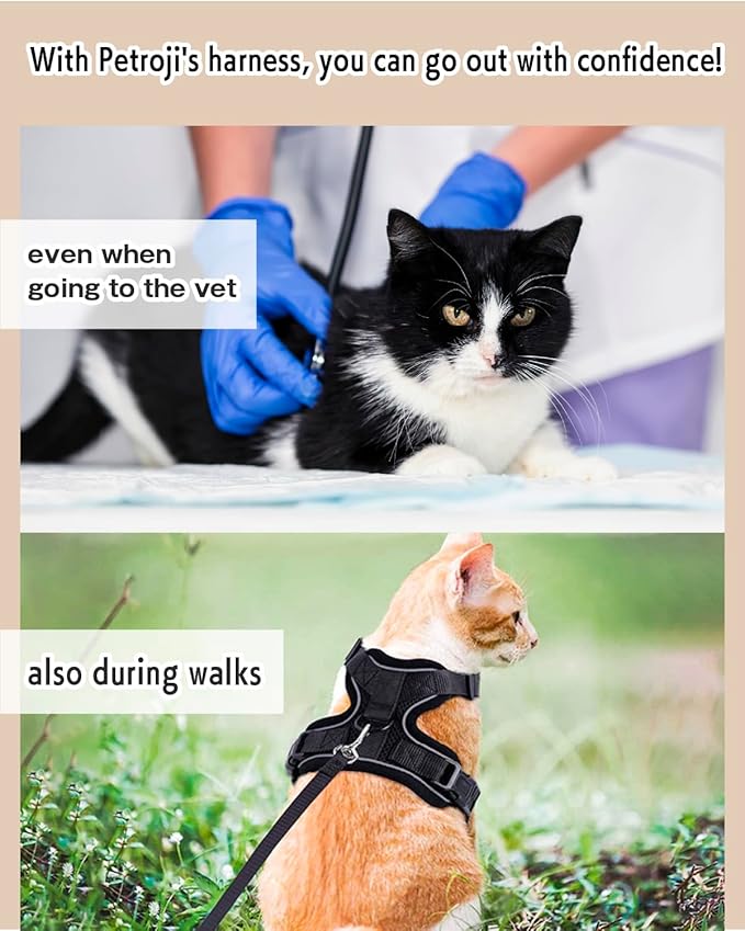 Cat Harness Escape Proof with Leash for Walking, Travel Vest Soft Chest Support, Adjustable Size, Escape Proof Soft Adjustable Vest Harnesses, Breathable, Kittens, Small Dogs (美/背縄/藍2/S)