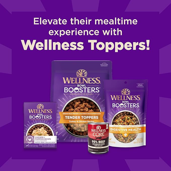 Wellness CORE+ Sensitive Skin & Stomach Dry Dog Food with Freeze Dried Pieces, Wholesome Grains, High Protein, Natural, Salmon & Rice Recipe, (18-Pound Bag)