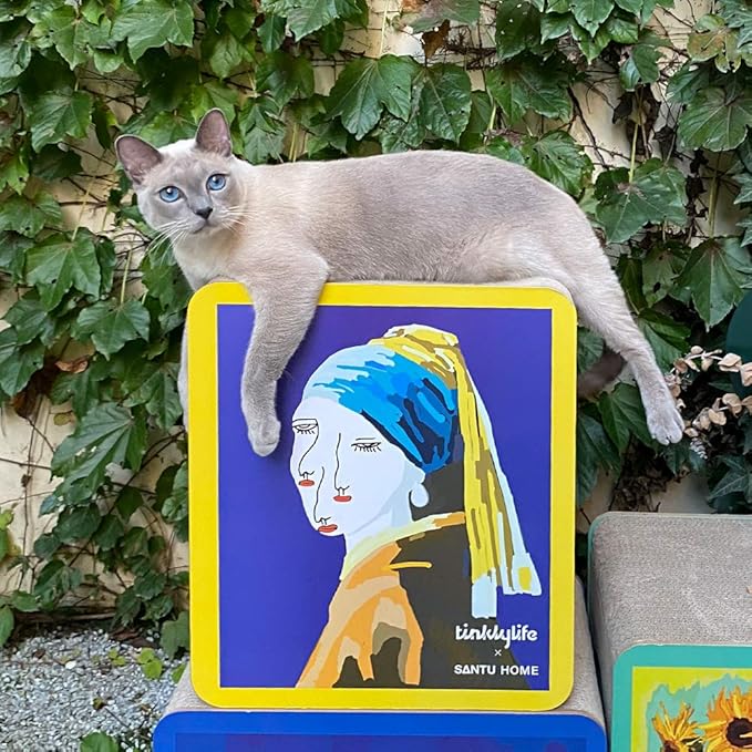 FluffyDream Cat Scratcher Cardboard, Girl with a Pearl Earring Shape Adaptation Spoof Version Cat Scratching House Bed Furniture Protector, Pink