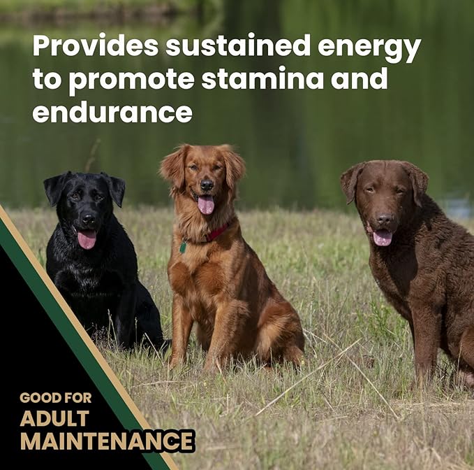 VICTOR Super Premium Dog Food – Performance Dry Dog Food from Beef, Chicken and Pork Meal – 26% Protein for Active Adult Dogs – Includes Glucosamine and Chondroitin for Hip and Joint Health, 5lbs