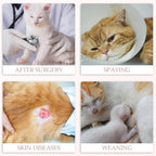 ANWA Cat Recovery Suit, Breathable Cat Onesie After Surgery, Kitten Surgery Recovery Suit, Female Abdominal Wounds