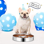 Slow Feeder Dog Bowls 304 Stainless Steel, 2 Cups Metal Food Bowls, Water Bowl for Small & Medium Sized Dogs, Fun Bloat Stop Pet Fast Eaters