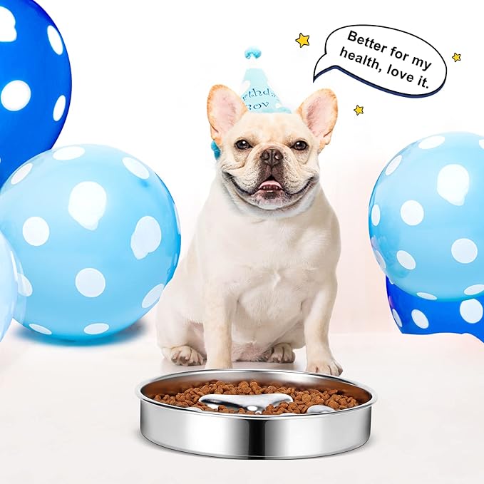 Slow Feeder Dog Bowls 304 Stainless Steel, 2 Cups Metal Food Bowls, Water Bowl for Small & Medium Sized Dogs, Fun Bloat Stop Pet Fast Eaters