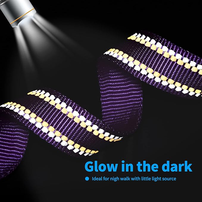 Mile High Life Nylon Night Light Glow Collar, Reflective Light Up Dog Collar, Fluorescent Self-Luminescent Strap for Small Medium Large Dogs (Purple, S Neck11-15")