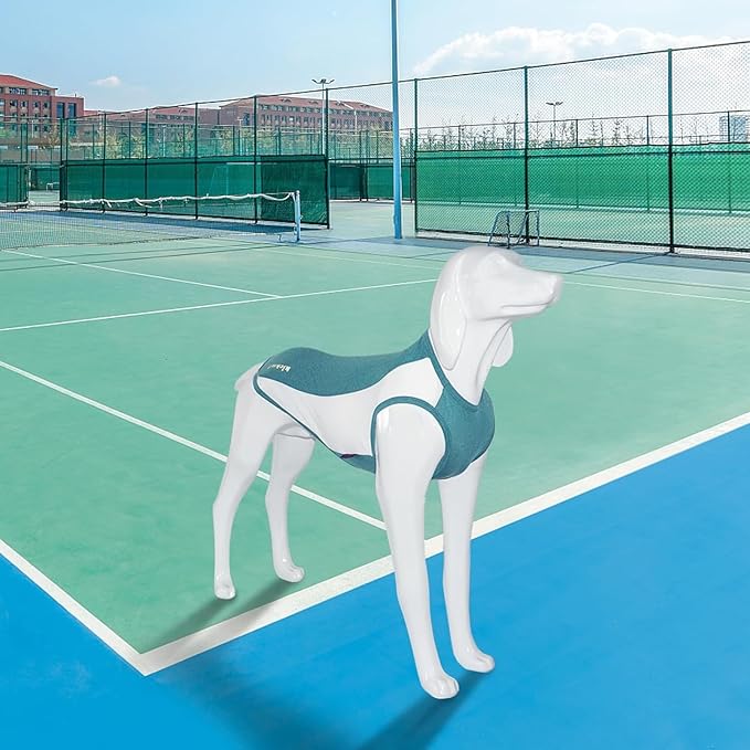 2 Pack Dog Shirts, Breathable Dog Clothes, Summer Sun Protection Pet Sleeveless Vest, Lightweight Stretchy Tank Top T-Shirts for Large Medium Dogs, Green White+Blue White (2XL)