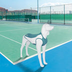 2 Pack Dog Shirts, Breathable Dog Clothes, Summer Sun Protection Pet Sleeveless Vest, Lightweight Stretchy Tank Top T-Shirts for Large Medium Dogs, Green White+Blue White (2XL)