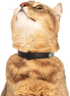 5 Pack Breakaway Cat Collar - Soft, Comfortable, and Lightweight Safety Buckle Collar with ID Tag Ring for Outdoor Cats and Kittens by Nuvuq (6 ⅞" to 10 ¼", Red, Orange, Pink, Blue and Black)